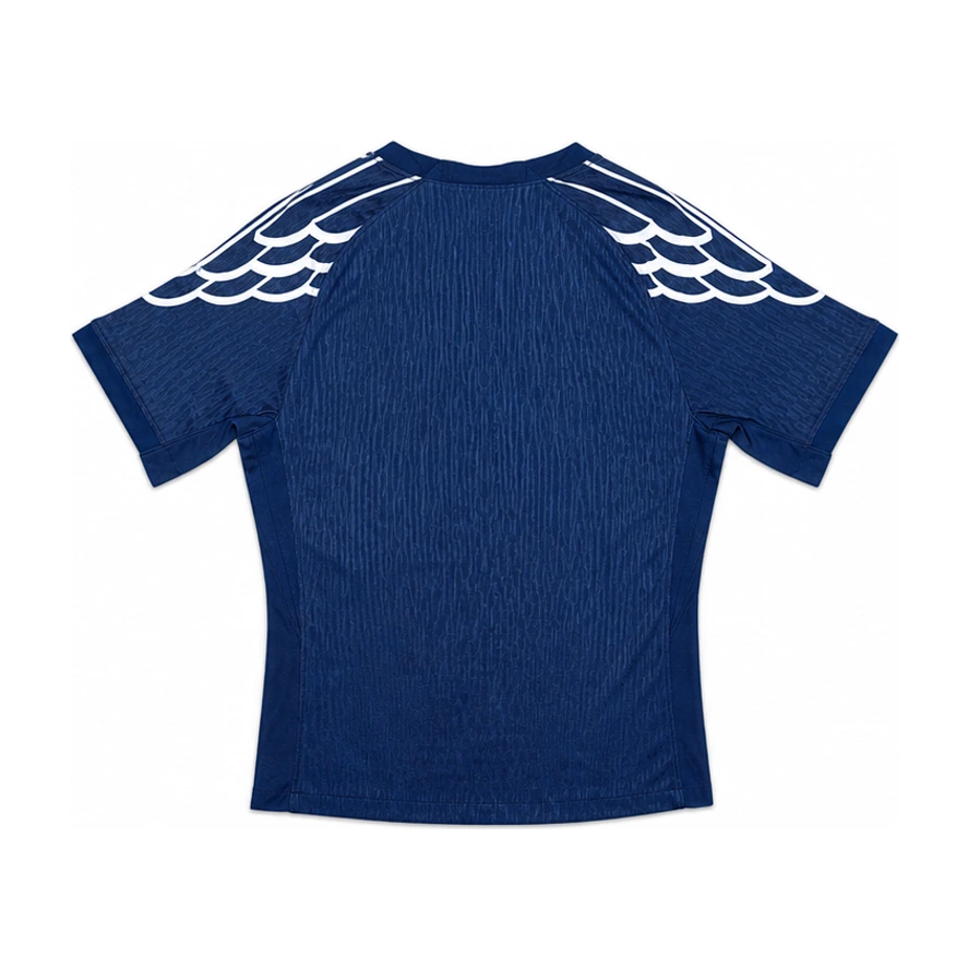 Paris Saint-Germain x Jordan Wings 2024-25 Back